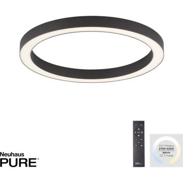Paul Neuhaus PURE-LINES 6309-13 Таванна лампа 1x30W/LED 2700-5000k 2800lm ip20