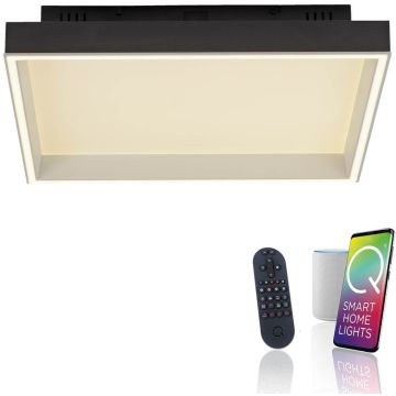 Paul Neuhaus Q-MAGONG 6316-18 Таванна лампа 1x40W/LED 2700-5000k 5700lm ip20