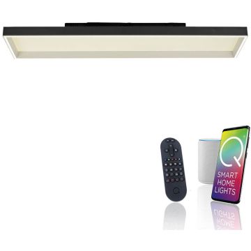 Paul Neuhaus Q-MAGONG 6317-18 Таванна лампа 1x52W/LED 2700-5000k 5800lm ip20