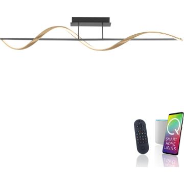Paul Neuhaus Q-SWING 6385-13 Таванна лампа 1x28W/LED 2700-5000k 3100lm ip20