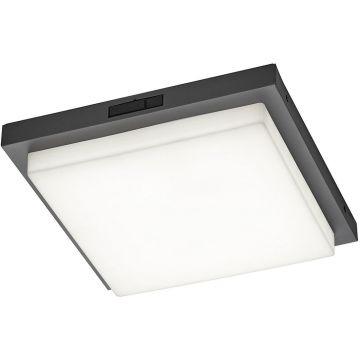 Trio BERMEJO 630369242 Таванна лампа 1x14w/led 2300+3000+4000k 1450lm ip54