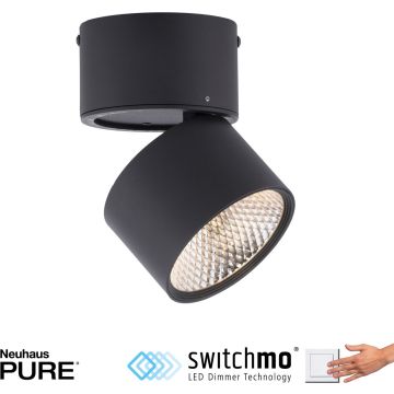 Paul Neuhaus PURE-NOLA 6451-18 Спот 1x17W/LED 3000k 1900lm ip20