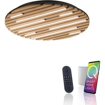 Paul Neuhaus Q-AKUSTIK 6421-79 Таванна лампа 1x38W/LED 2700-5000k 3360lm ip20