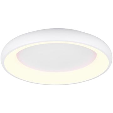Trio CARDONA 649616031 Таванна лампа 1x38w/led 2300+3000+4000k 4400lm ip20