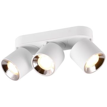 Trio GUAYANA 651000331 Спот 3x10w/gu10 ip20