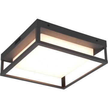 Trio WITHAM 677860142 Таванна лампа 1x14w/led 2300+3000+4000k 1550lm ip54