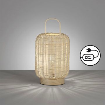 Fischer&Honsel Nature 50738 Масичка лампа 1x25W/E14 IP20