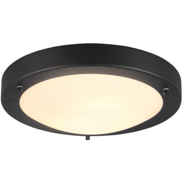 Trio CONDUS 6801011-32 Таванна лампа 1x60w/e27 ip44