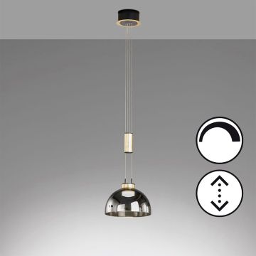 Fischer&Honsel Avignon 61013 Висяща лампа 1x9W/LED 2700K 1000 lm IP20