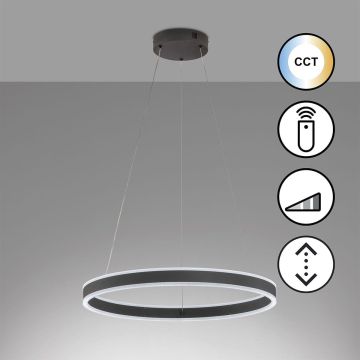 Fischer&Honsel Sirko 61048 Висяща лампа 1x54W/LED 2700K 8500 lm IP20