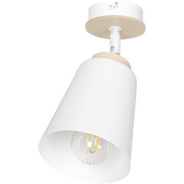 Emibig ATLAS 724/1 Спот 1x60W/E27 IP20