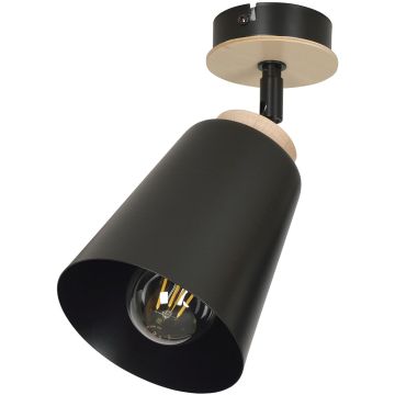 Emibig ATLAS 725/1 Спот 1x60W/E27 IP20