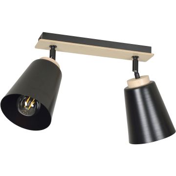 Emibig ATLAS 725/2 Спот 2x60W/E27 IP20