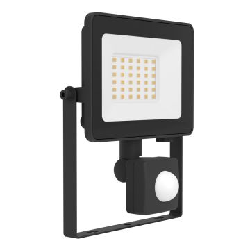 Eglo RISACCA-E 74016 Халогенен фар 30W/LED 4000K 2800lm ip65