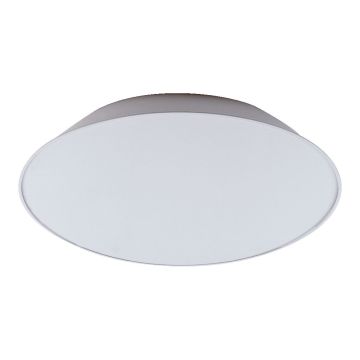 Prezent BAIKAL 75302 Таванен светилник 1x55W/T5 IP20