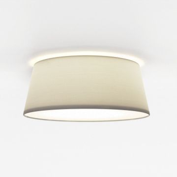 Astro Lighting FIFE 1471006 Таванен светилник 1x12W/E27 IP20