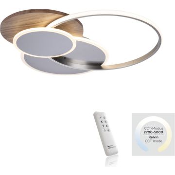Paul Neuhaus PALMA 8328-79 Таванна лампа 1x55W/LED 2700-5000k 6000lm ip20