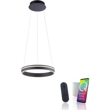 Paul Neuhaus Q-VITO 8410-13 Висяща лампа 1x33W/LED 2700-5000k 3250lm ip20