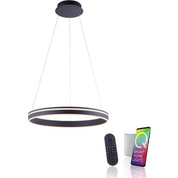Paul Neuhaus Q-VITO 8411-13 Висяща лампа 1x44W/LED 2700-5000k 4550lm ip20