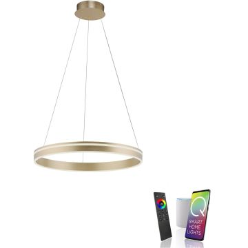 Paul Neuhaus Q-VITO 8411-60 Висяща лампа 1x44W/LED 2700-5000k 4550lm ip20