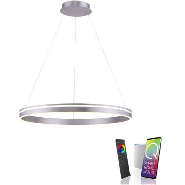 Paul Neuhaus Q-VITO 8412-55 Висяща лампа 1x65W/LED 2700-5000k 7000lm ip20