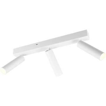 Trio AMBALA 849210331 Спот 3x16.5w/led 2300+3000+4000k 500lm ip20