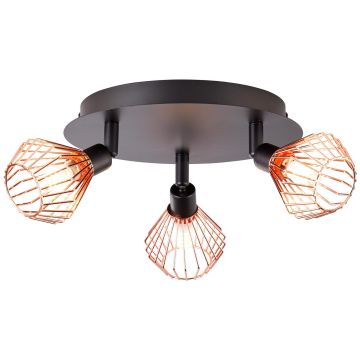 Brilliant DALMA 21034/76 Спот 3x33W/G9 IP20
