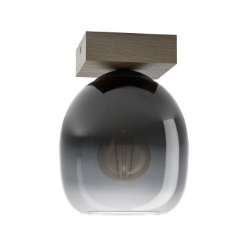 Eglo FILAGO 900825 Таванна лампа 1x40W/E27 IP20