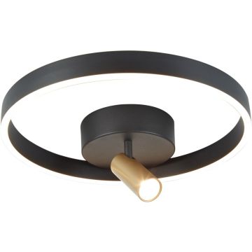 Aviano Lighting PIGNANO 9206-0110 Таванна лампа 18w/led 3000k 3000K