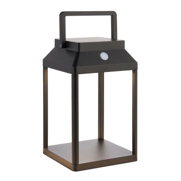 Endon LINTERNA 96931 Стойка лампа 1x3.15W/LED 3000K 230LM IP44