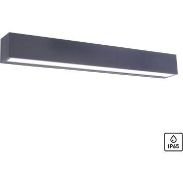Paul Neuhaus ROBERT 9676-13 Светильник за стена 1x36W/LED 3000k 4690lm ip65