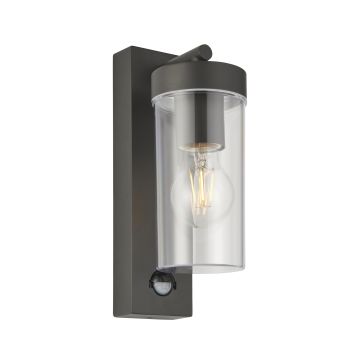Endon HAYDEN PIR 99756 Светильник за стена 15W/E27 IP44