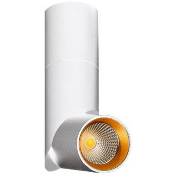 AZzardo SANTOS AZ2417 Спот 1x12W/LED 950LM