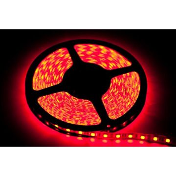 Eko-Light LED STRIP EKPL891 LED лента 24W/500cm IP20