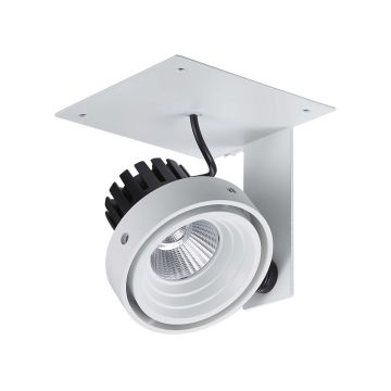 Italux PATRIZIO GL7118-1/1X12W 4000K WH+BL Спот 1x12W/LED 980LM IP20