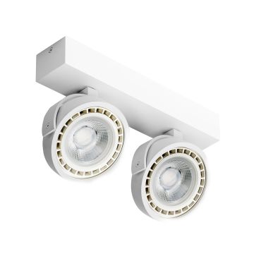 AZzardo JERRY AZ1371 Спот 2x50/40W/ES111/GU10 IP20