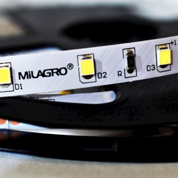 Milagro LED STRIP ML4747 LED лента 24W/500cm IP20