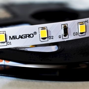 Milagro LED STRIP ML4748 LED лента 24W/500cm IP20