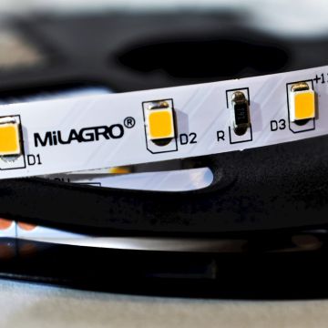 Milagro LED STRIP ML4749 LED лента 24W/500cm IP20