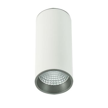 Italux MOLDES SLC7392/12W 4000K WH+GR Повърхностно светило 1x12W/LED 820LM IP20