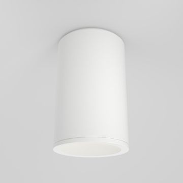 Maytoni ZOOM C029CL-01-S-W Повърхностно светило 1x50W/GU10 IP65
