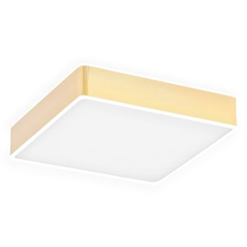 Argon ATLANTIS 4051 Таванен светилник 1x32W/LED 3000K 3900LM IP20