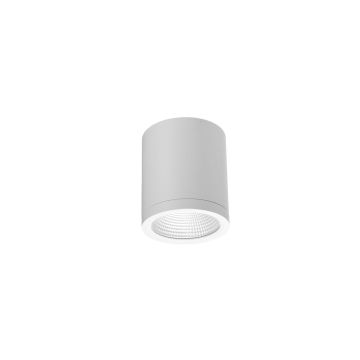 Azzardo CONYON AZ6026 Повърхностно светило 1x10W/LED 3000|4000|6000 600lm IP54