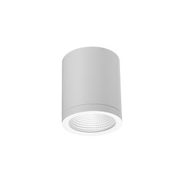 Azzardo CONYON AZ6028 Повърхностно светило 1x15W/LED 3000|4000|6000 900lm IP54