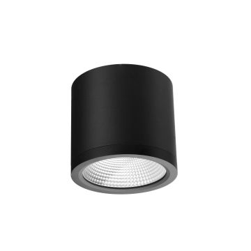Azzardo CONYON AZ6029 Повърхностно светило 1x25W/LED 3000|4000|6000 1400lm IP54