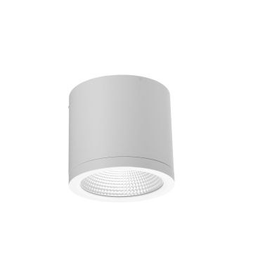 Azzardo CONYON AZ6030 Повърхностно светило 1x25W/LED 3000|4000|6000 1400lm IP54