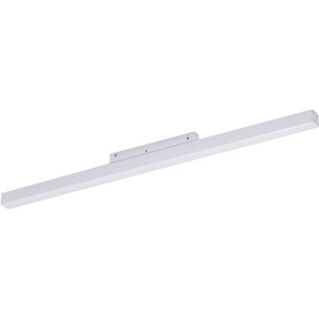 AZzardo SAGA AZ4608 Шинен фар 1x24W/LED 3000K IP20