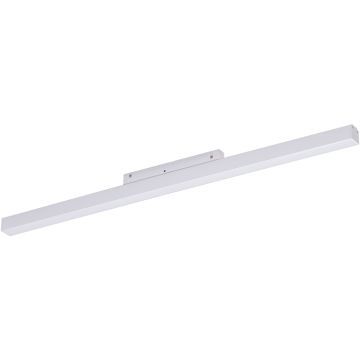 AZzardo SAGA AZ4610 Шинен фар 1x24W/LED 4000K IP20