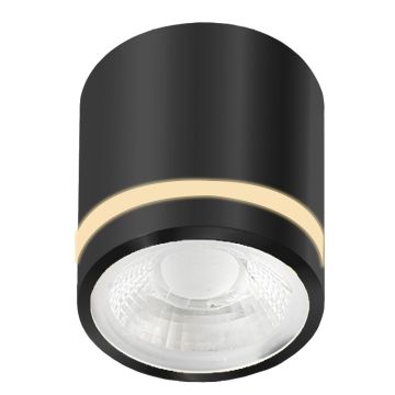 Azzardo VICI AZ6039 Повърхностно светило 1x12W/LED 3000|4000|6000 720lm IP44