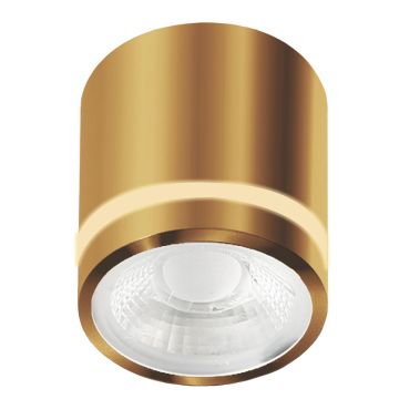 Azzardo VICI AZ6041 Повърхностно светило 1x12W/LED 3000|4000|6000 720lm IP44